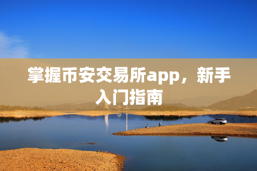 掌握币安交易所app，新手入门指南